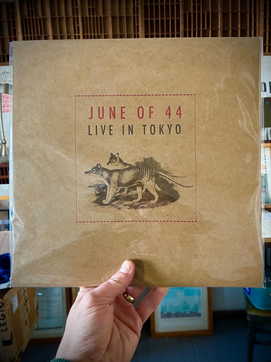 いまきん tweet media