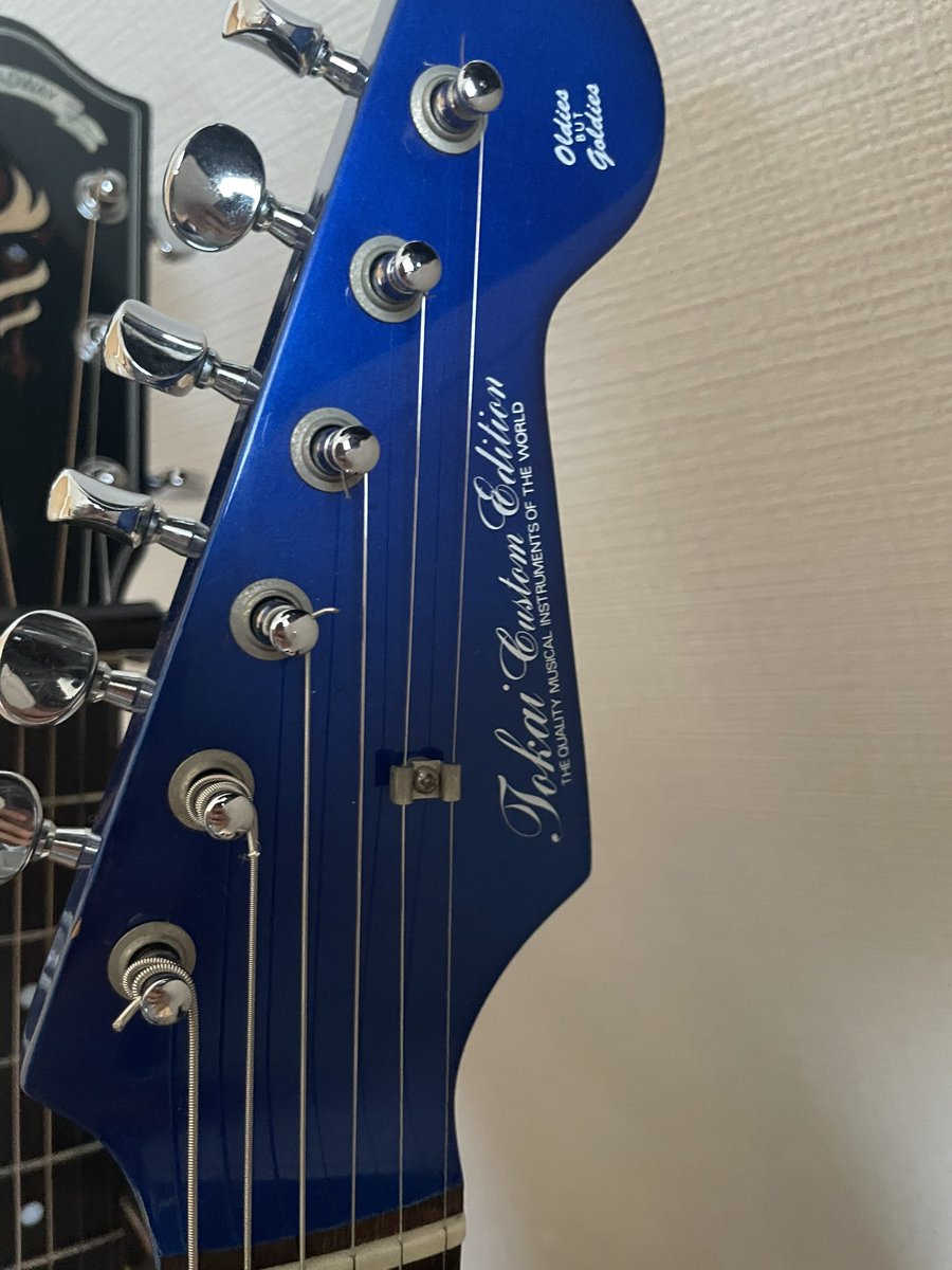 1987年のTokai Custom Edition TSTシリーズだと思う…の…ですが… なぜか