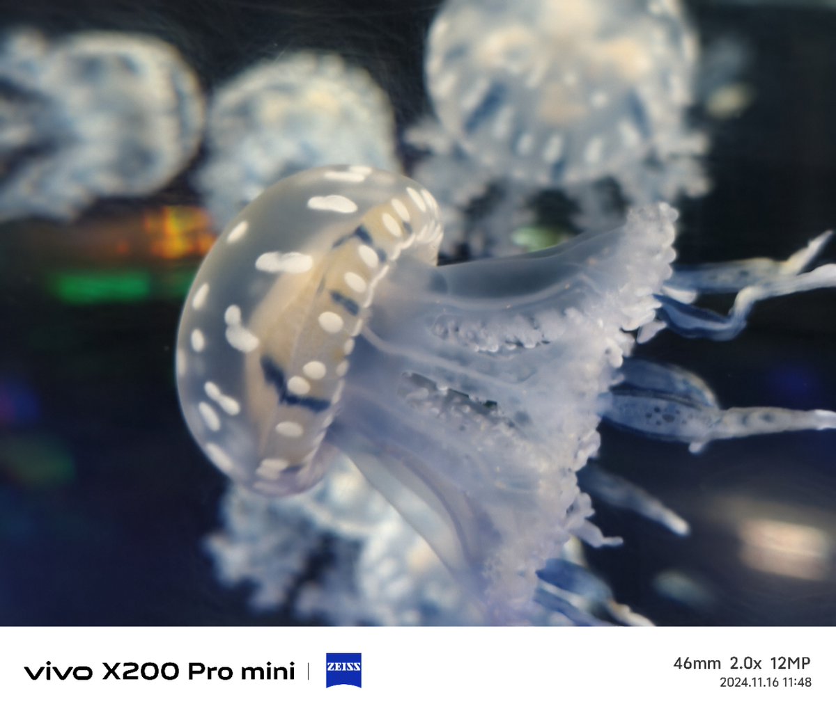 Mitch Debora tweet media