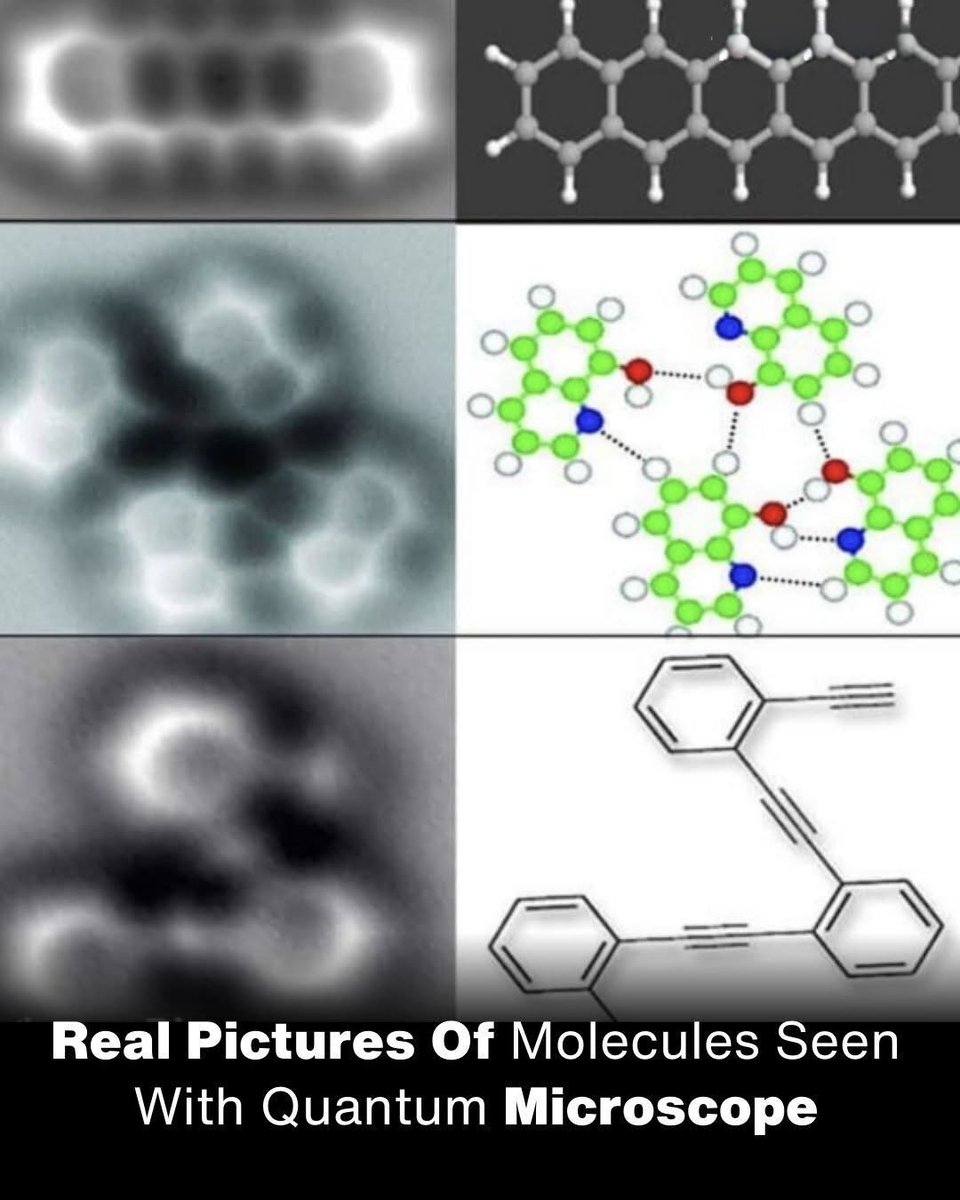 SciTech Girl tweet media