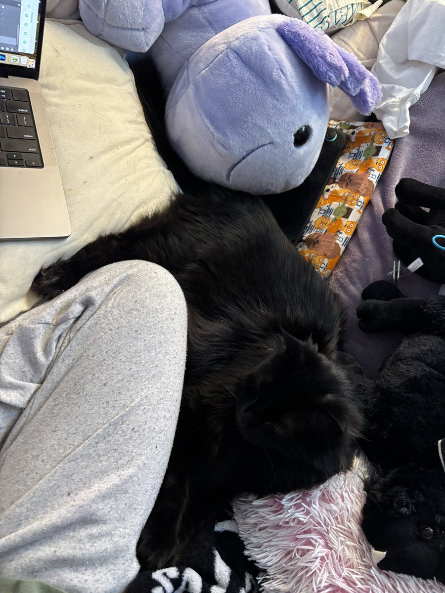 chompy gigante 🎃💜 #caitvi tweet media