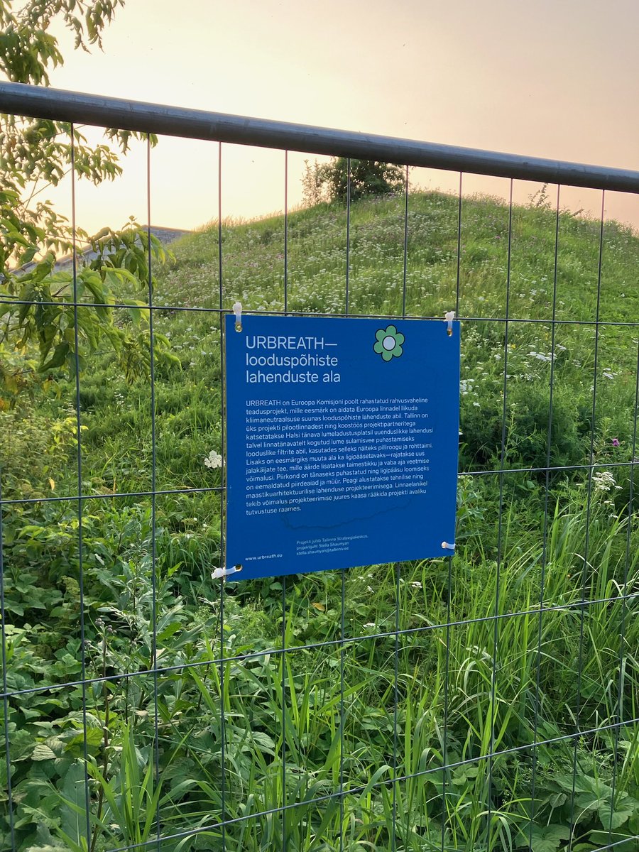 Silver 𝕏 tweet media