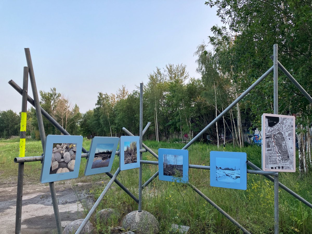 Silver 𝕏 tweet media