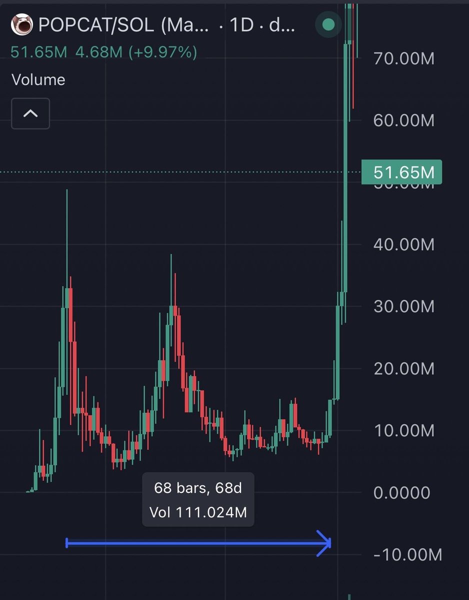 minwage777's tweet photo. POPCAT sat in the same range for 70 days before sending to a $2B market cap.

And people think $PUNCH is over because it pumped from 5m to 20m, then had a dip down to 12m?

Tokens that go the distance always go through brutal -90% corrections and redistribution.

Many such cases https://t.co/YbKsdnybRh