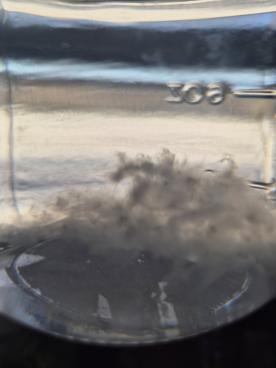 thirteen(13) ૮꒰˶ฅ́˘ฅ̀˶꒱ა tweet media