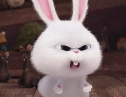 (앙증) tweet media