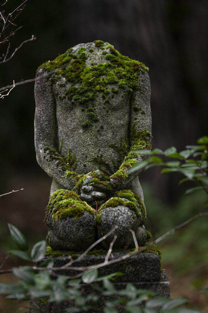 Lisa M Christie, PhD tweet media