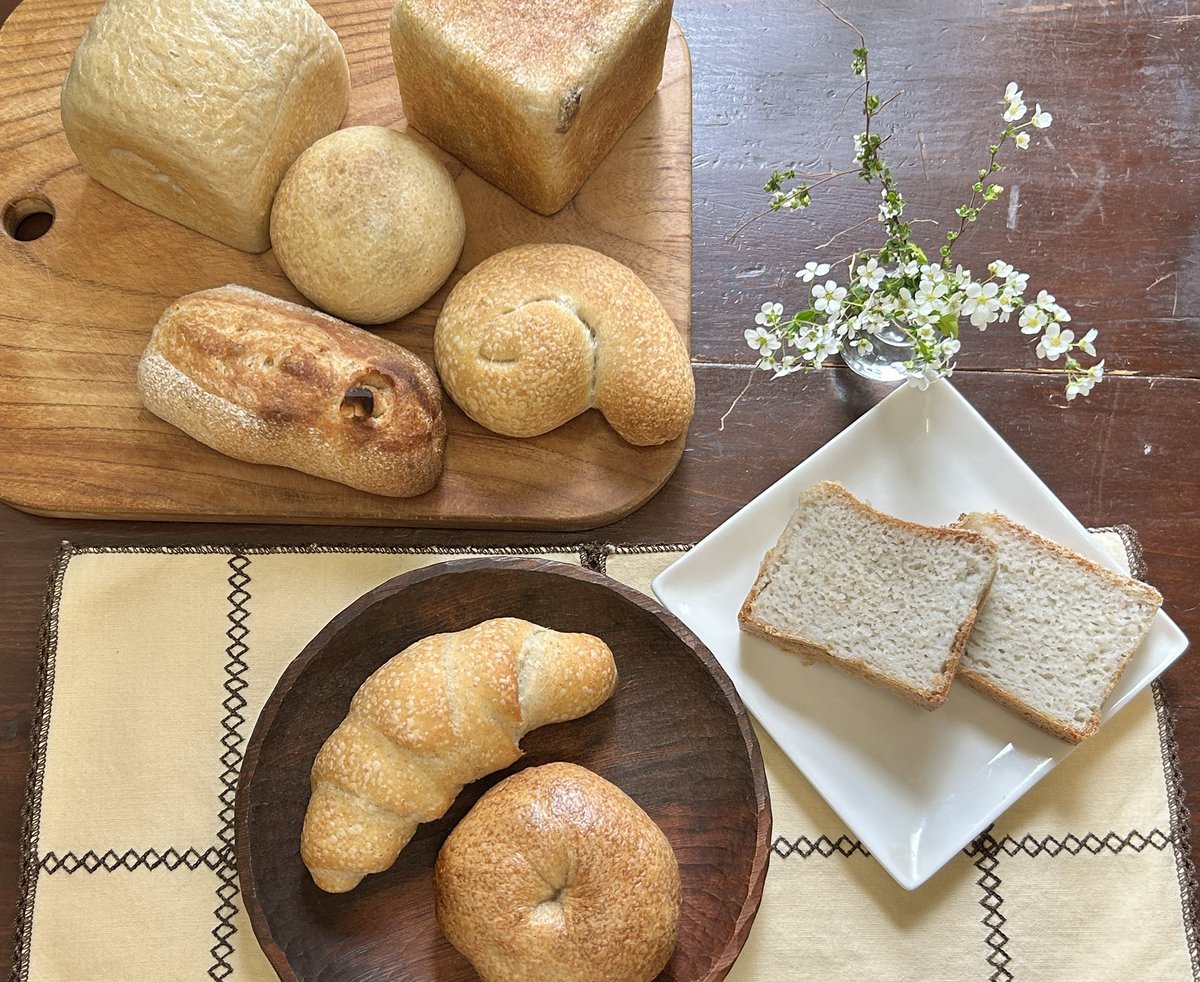 マスジマトモコ tweet media