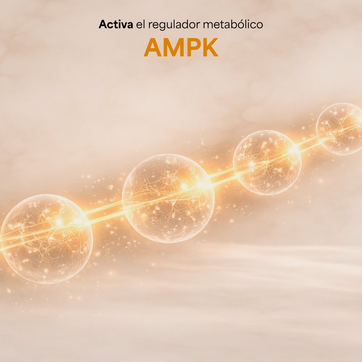 Genfinity_MX's tweet image. Tomar berberina diariamente puede mejorar el control del azúcar en sangre, reducir el colesterol y favorecer una pérdida de peso leve, especialmente en personas con síndrome metabólico. 🧡

Infórmate, cuestiona y elige bien lo que tomas.

#Berberina #Informate #Genfinity #viral