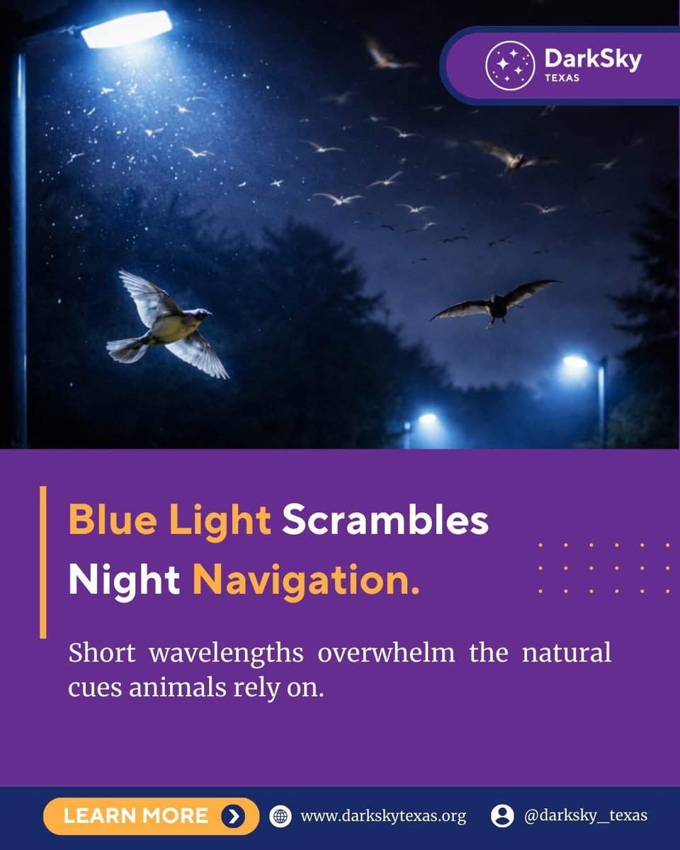 St Brian tweet media