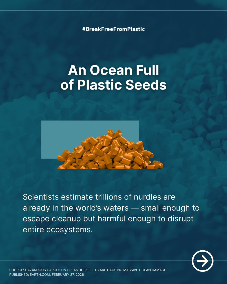 #BreakFreeFromPlastic tweet media