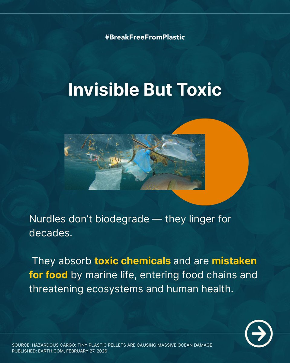 #BreakFreeFromPlastic tweet media