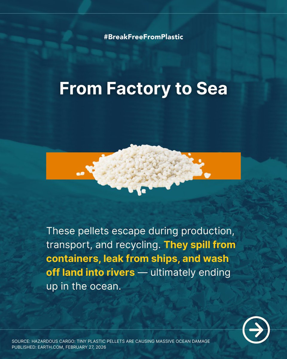 #BreakFreeFromPlastic tweet media