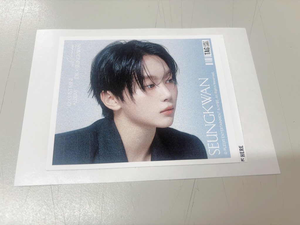 Sʕ•ᴥ•ʔ tweet media