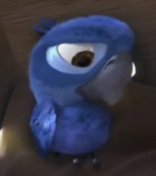 lari 𝜗𝜚 | mushu da ana tweet media