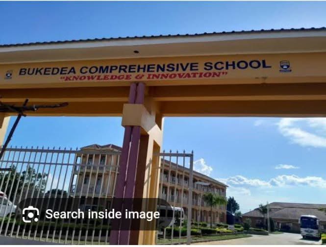 Mwami lu tweet media