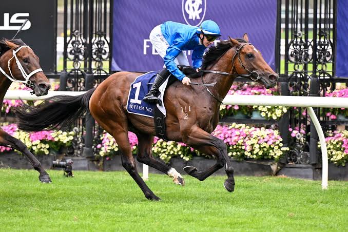 Mitchell Bazley tweet media