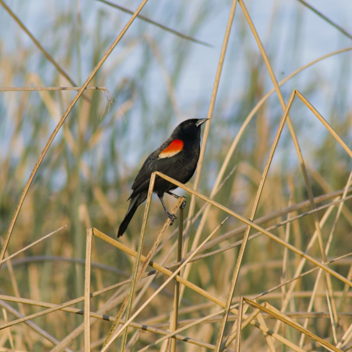 Intheyonderconifers tweet media