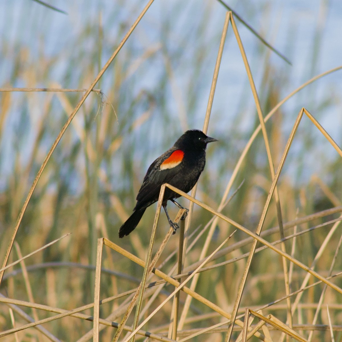 Intheyonderconifers tweet media