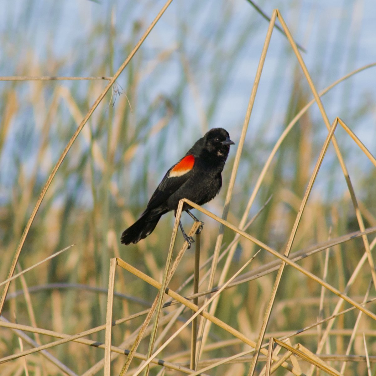 Intheyonderconifers tweet media