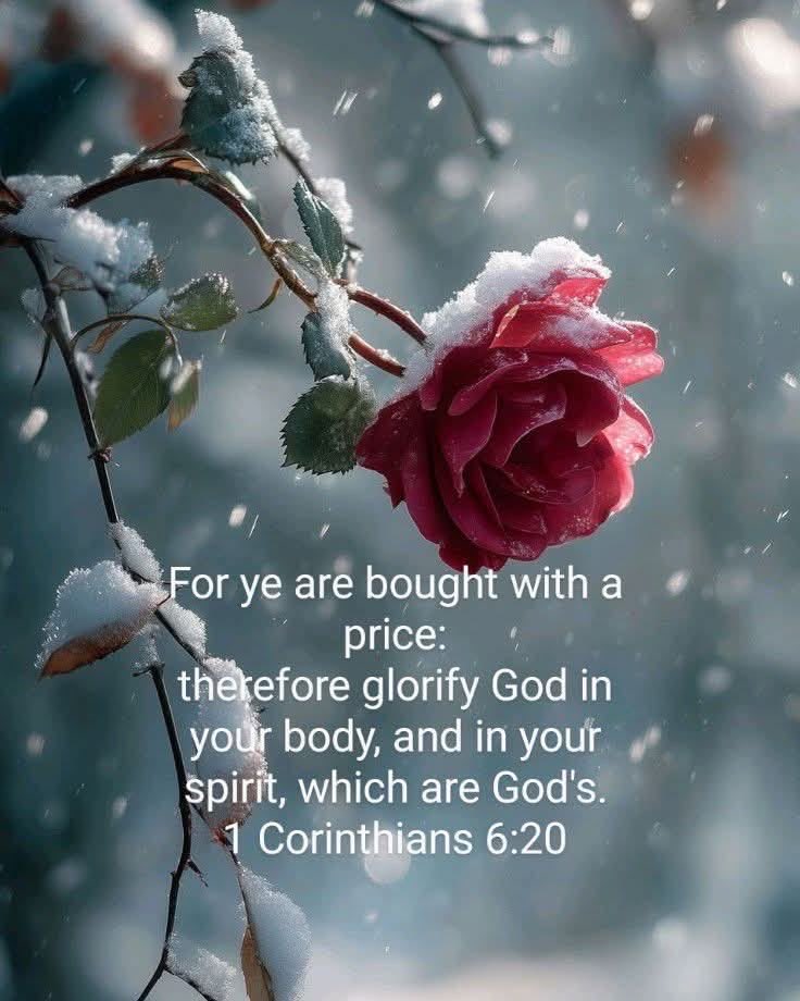 JesusChristsGod's tweet photo. 1 Corinthians 6:20 states, "you were bought at a price. Therefore honor God with your bodies" https://t.co/eXpvFrKaEM