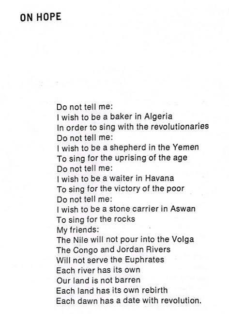 cerena 🍉 tweet media