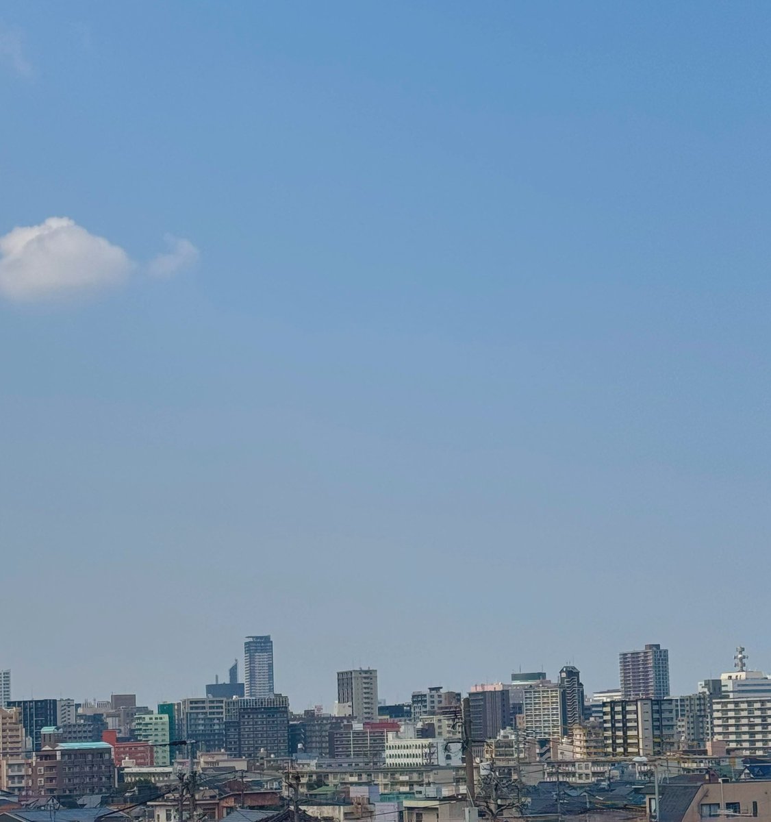 mocca(ともぽん)RoyalLine tweet media