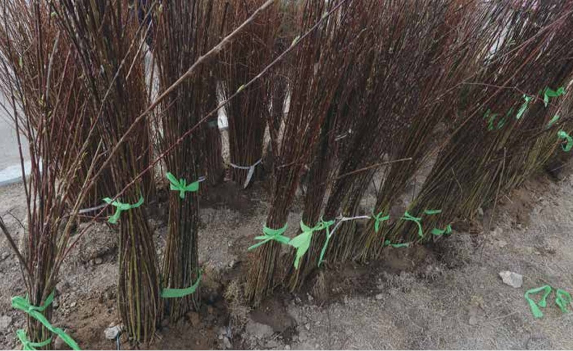 Mining Journal tweet media