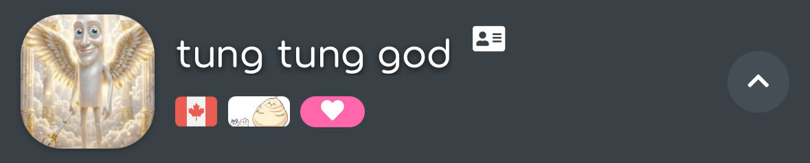 usagi fan tweet media