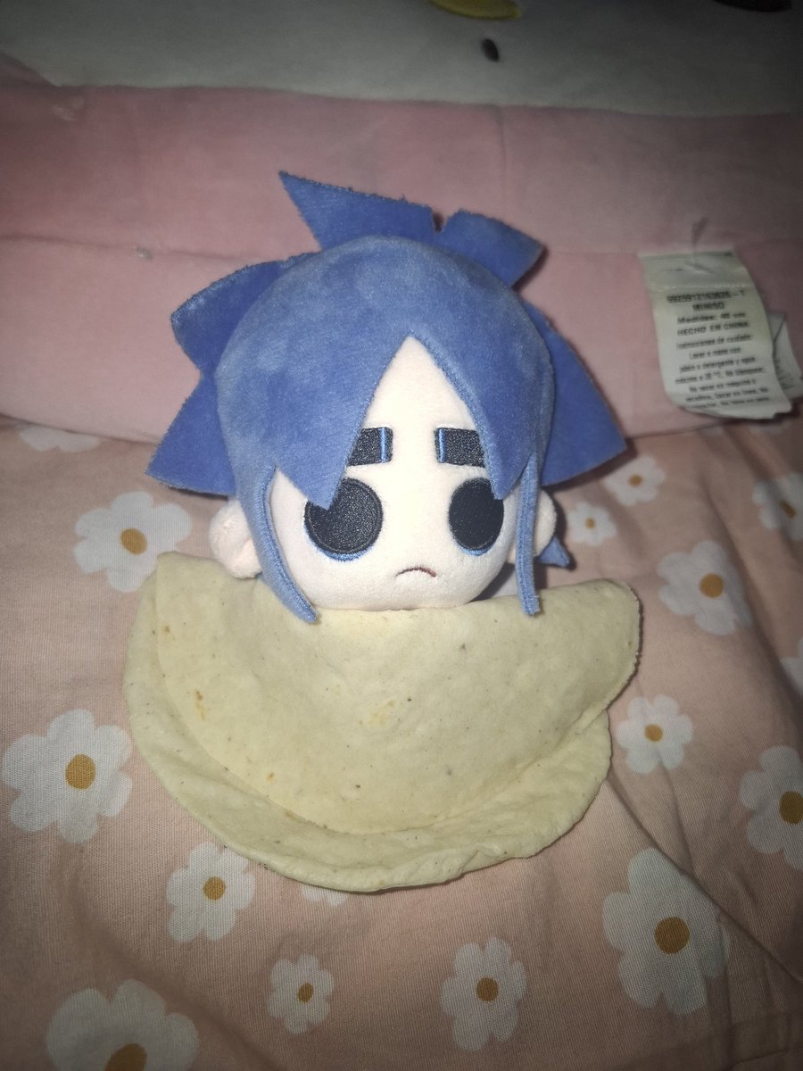 2D tapado en una tortilla