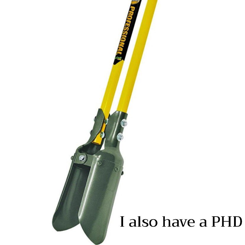 DPDret🇺🇸 tweet media