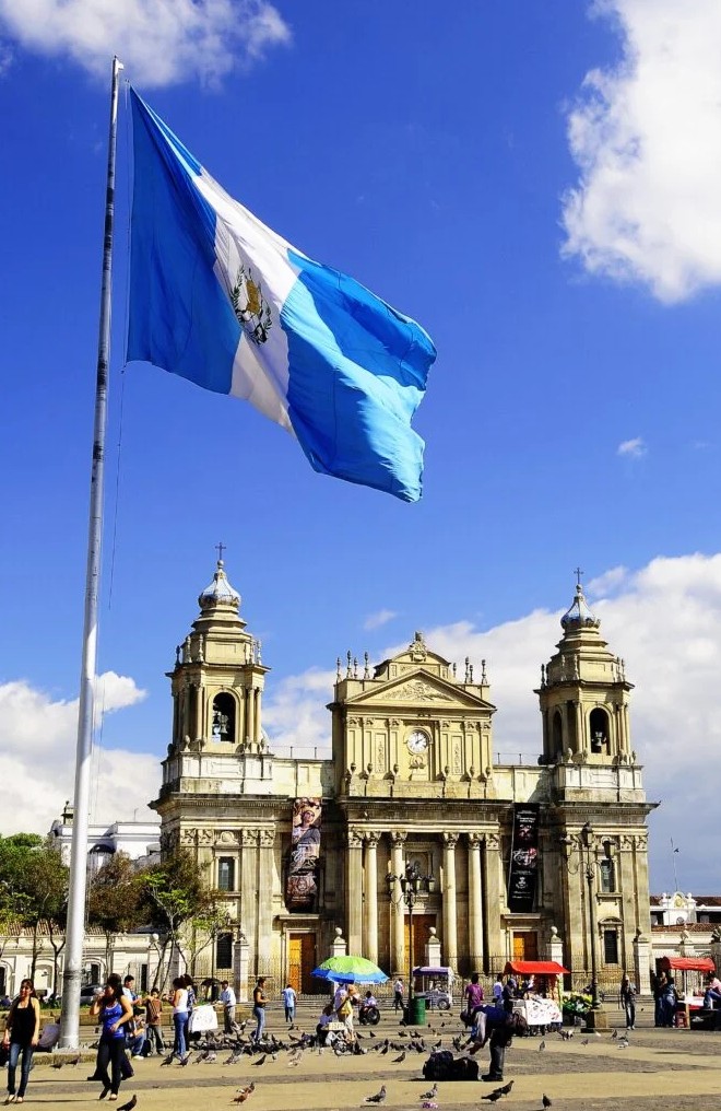 Prof Ben Saul - UN SR Human Rights & Counterterror tweet media