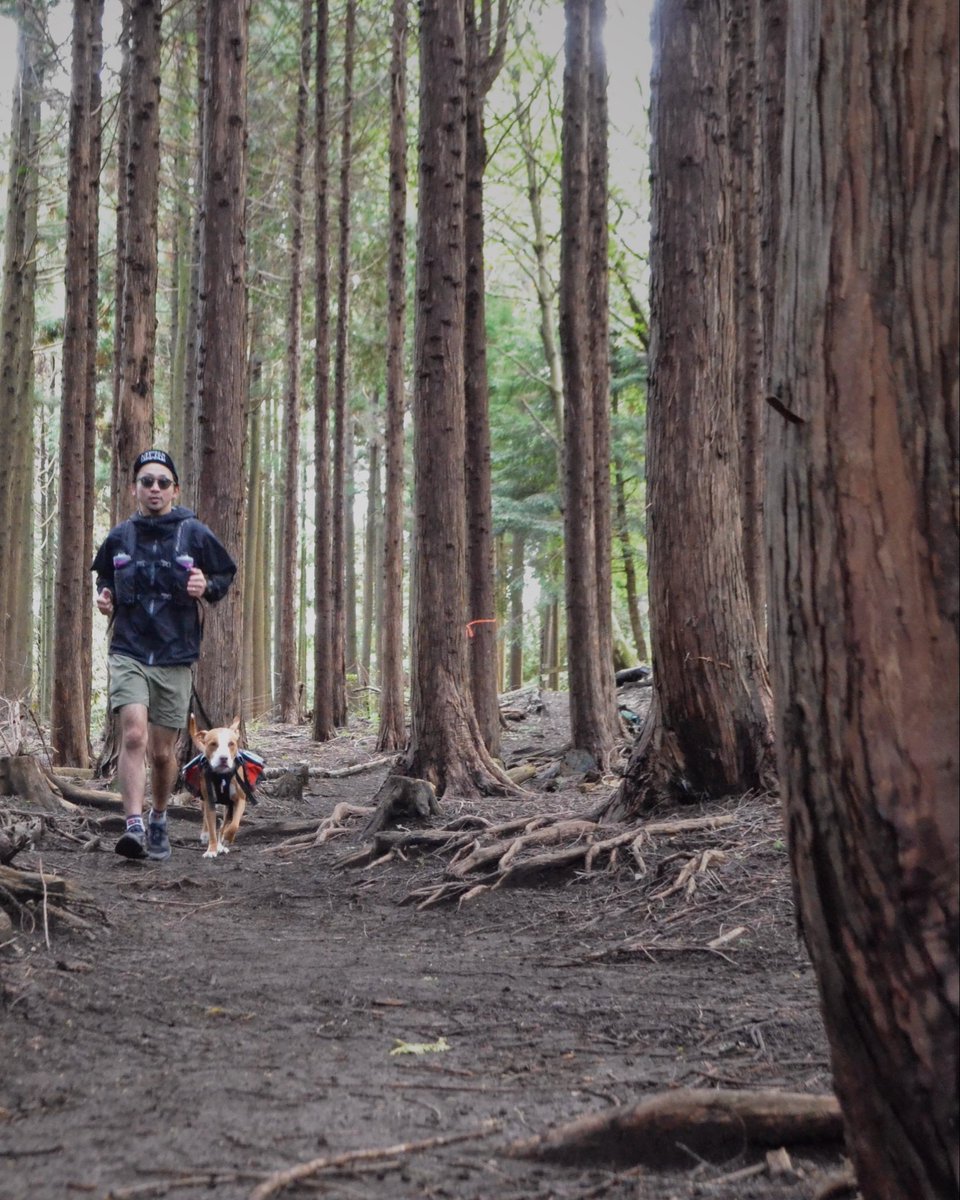 A_DOGS_CLUB's tweet photo. 2026.3.12発売の@RUNplusTRAIL で僕たちの活動【BEYOND THE TRAIL】を取り上げていただきました。
この活動は「10年後も愛犬と一緒に山を走り続けられるように、今できることを共に見つけよう‼︎」をコンセプトにした活動です🐾 https://t.co/xMdbB5S6pZ