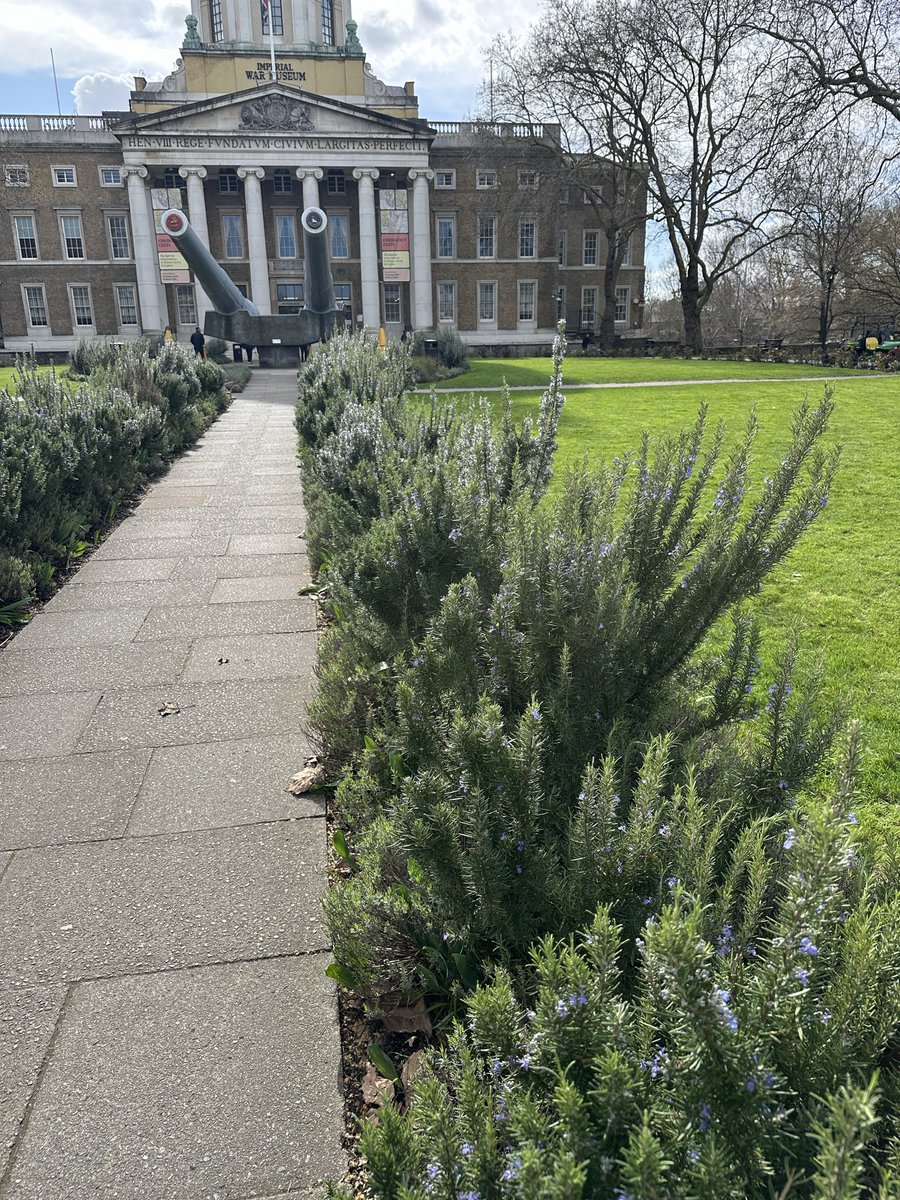 Whisky Intelligence tweet media