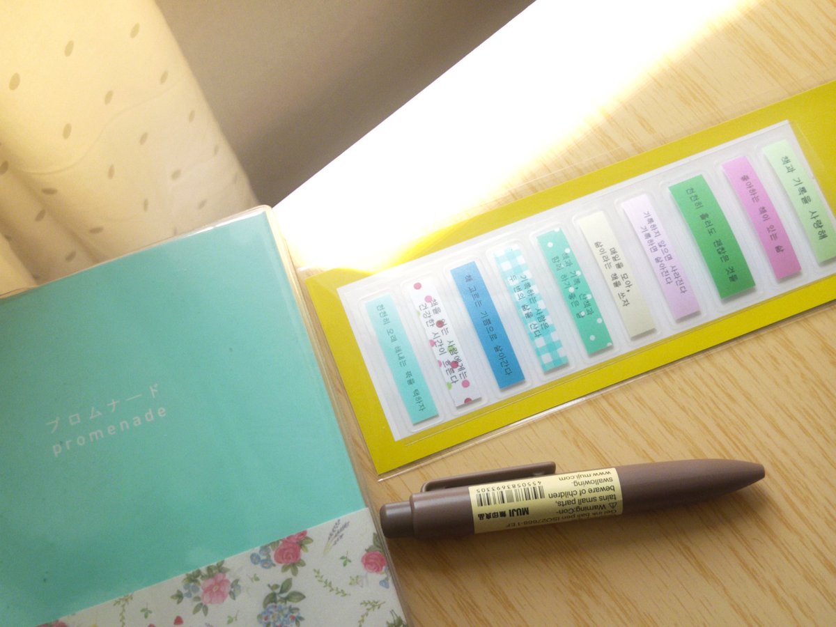 김풀잎 tweet media