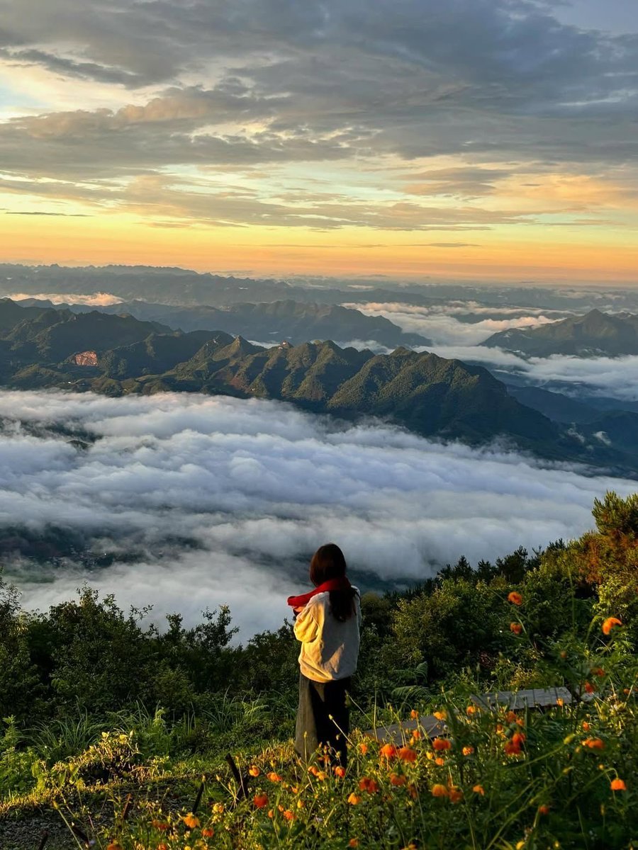 Цэцэнхэн❤️ tweet media