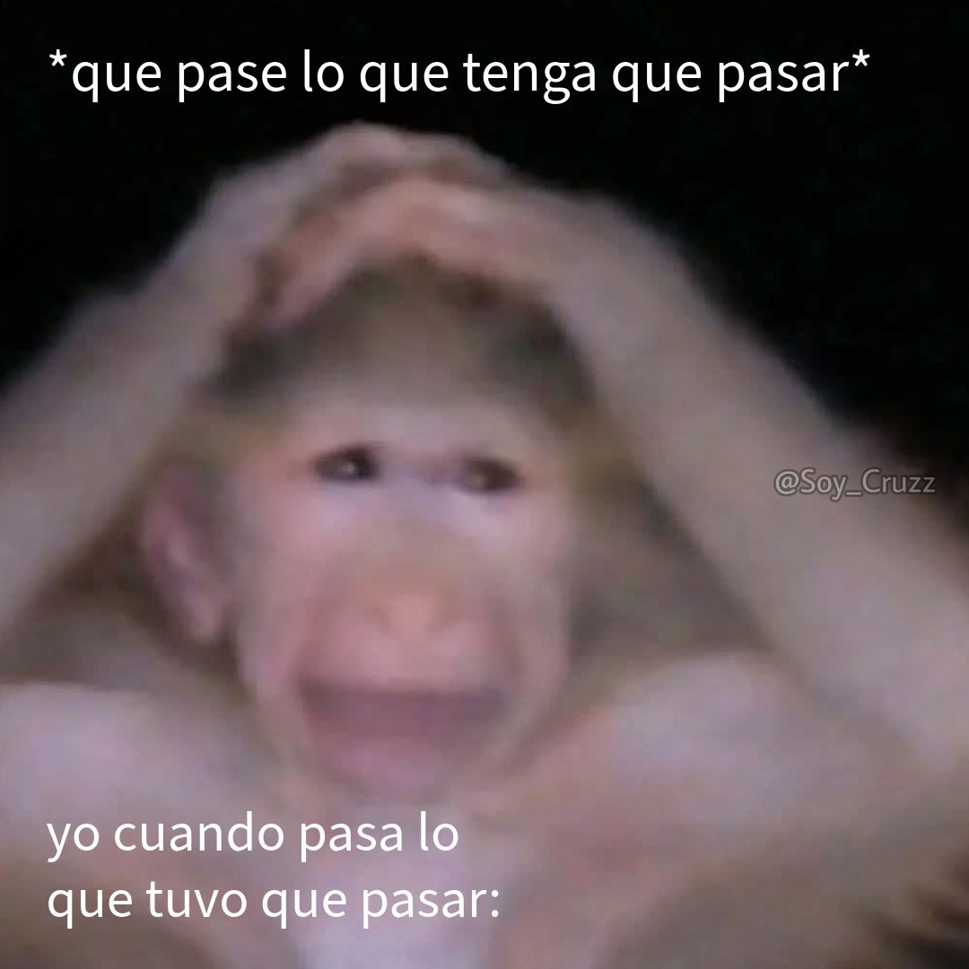 Mundo de Bigotes tweet media