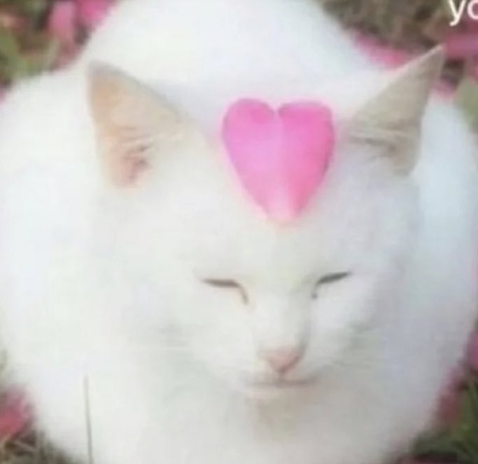 bug girl tweet media