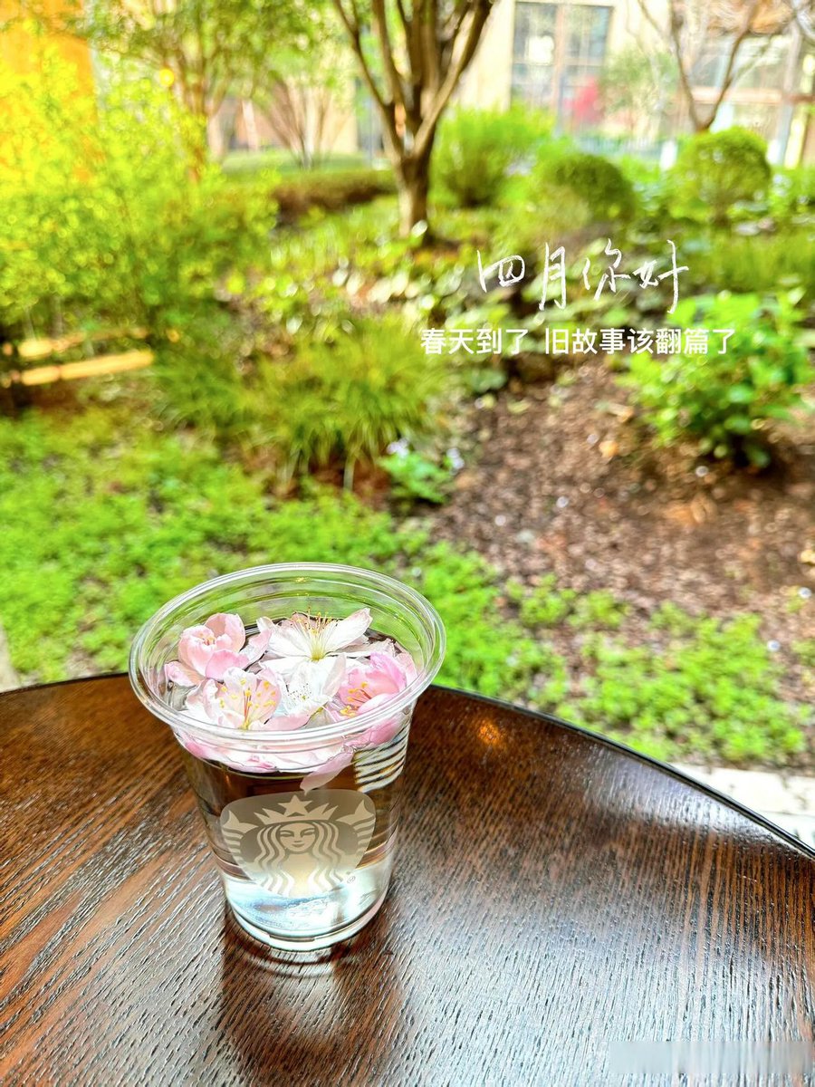 Maurizio Rossini tweet media