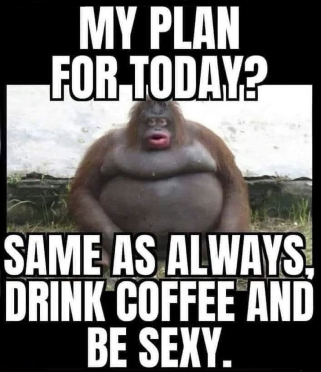 AmericaReal tweet media