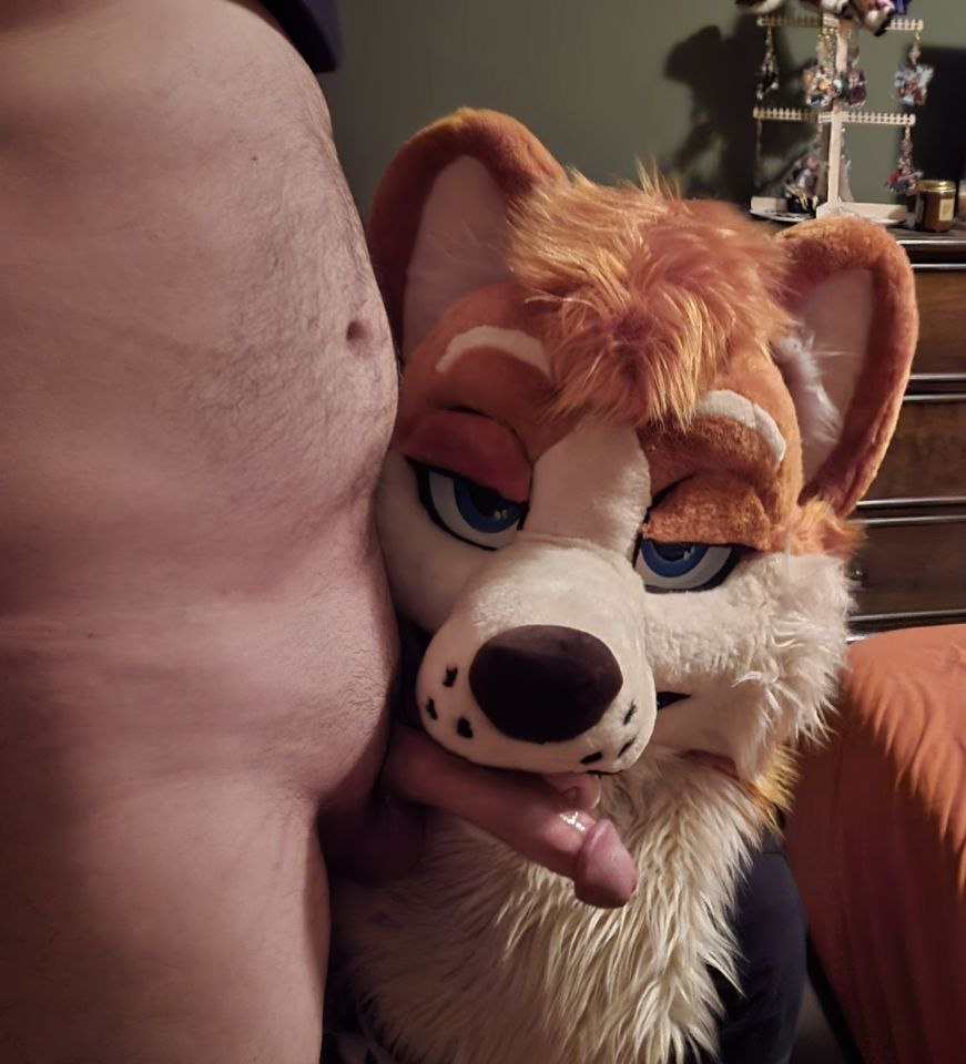 Toffee Corg tweet media