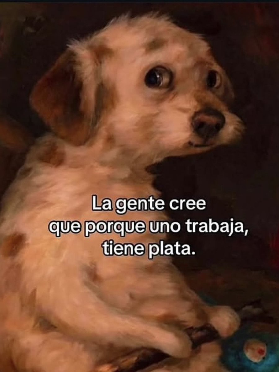 MundoDeBigotes's tweet photo. https://t.co/YKgYIoQ4lN