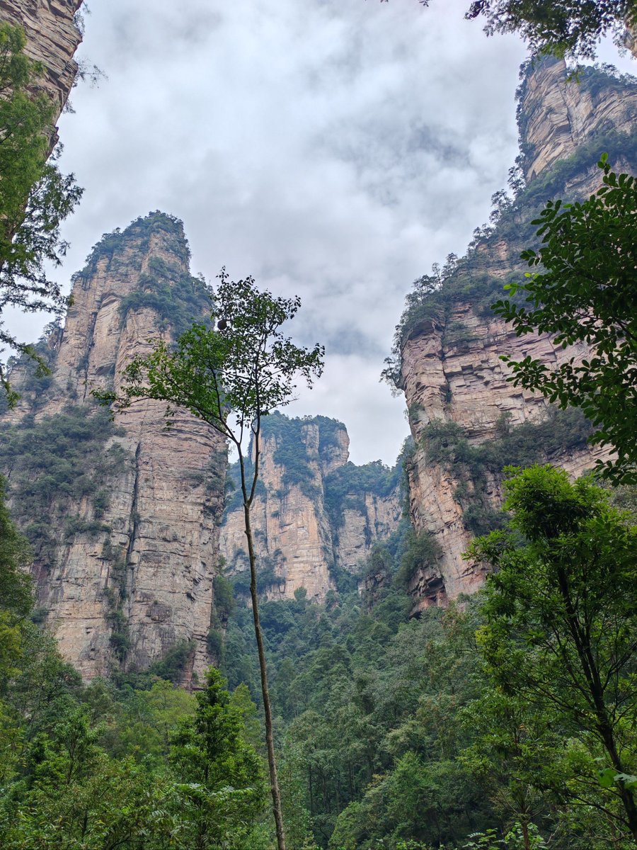 JENNIFER  LUNA tweet media