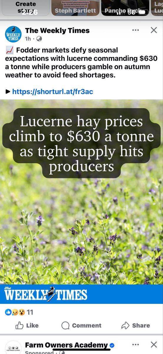 🧢James Stacey tweet media