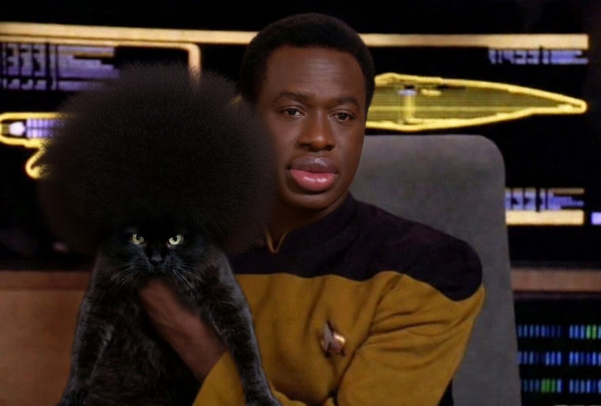 Chest Rockwell tweet media