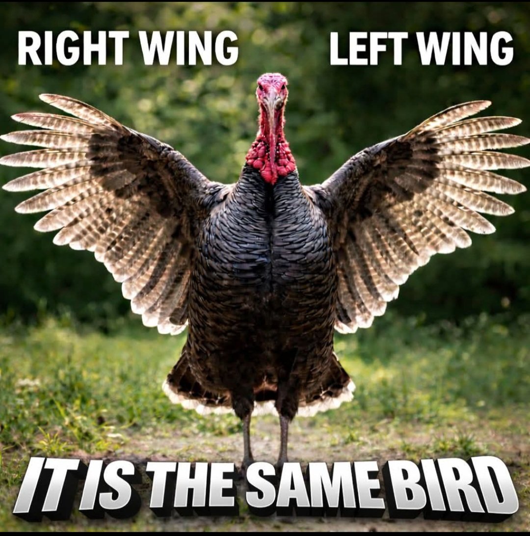 For_Spite 🇺🇲 tweet media