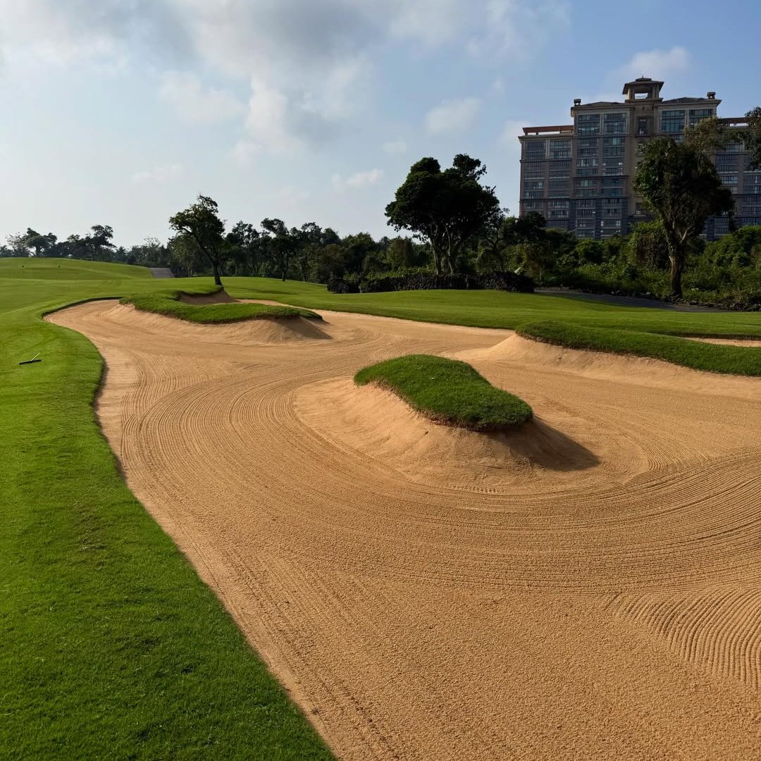 DP World Tour tweet media