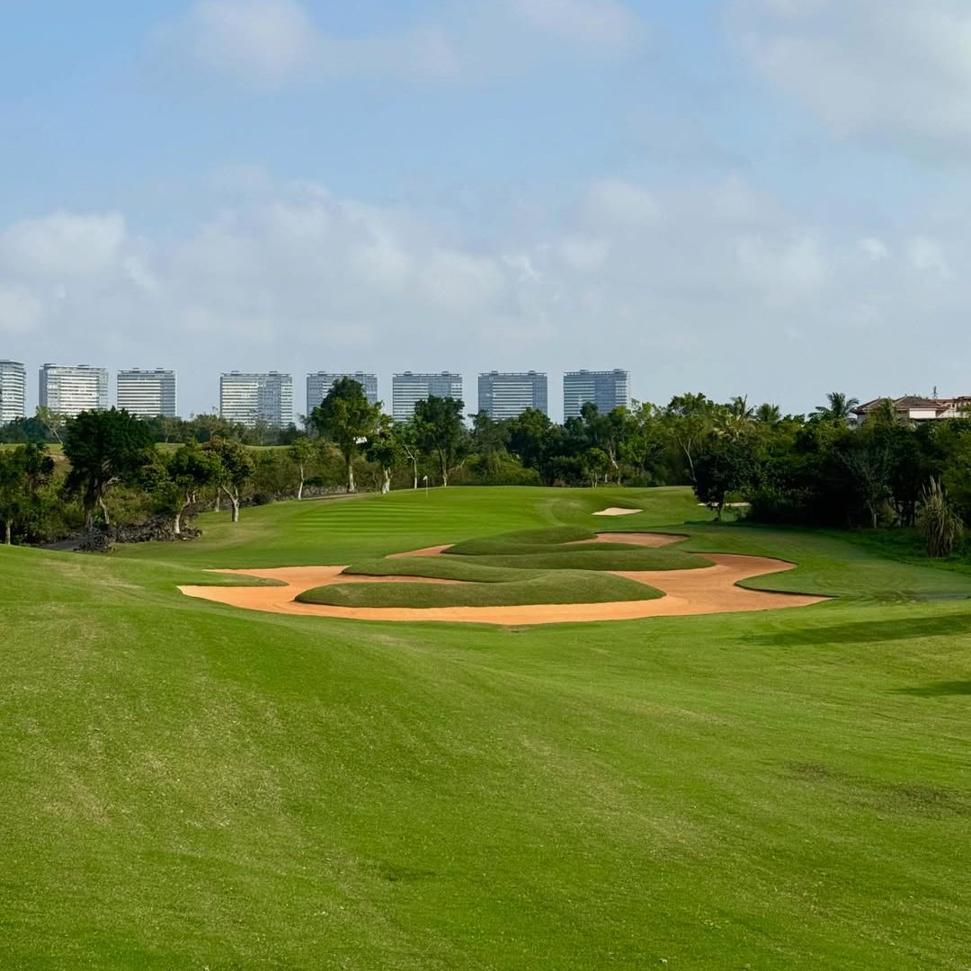 DP World Tour tweet media