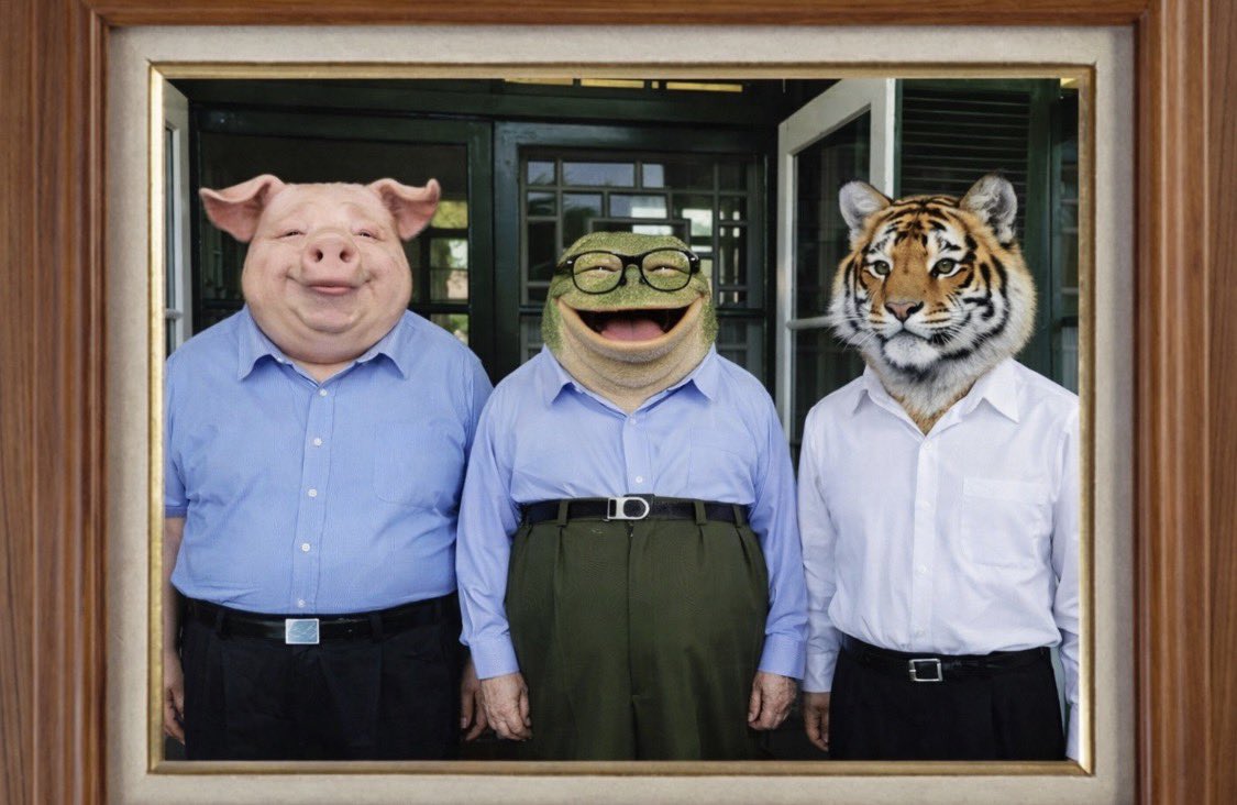 蜗包乙烷 tweet media