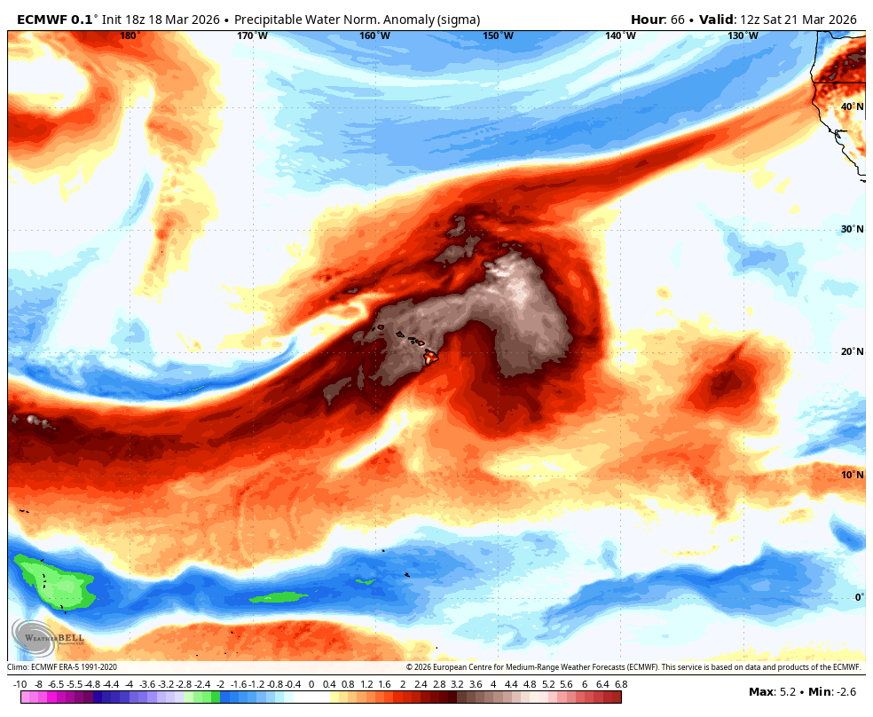 Michael Snyder tweet media